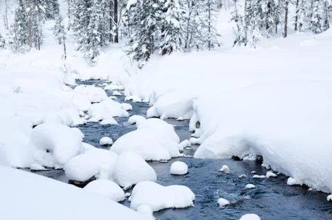 Winter forest river Stock Photos