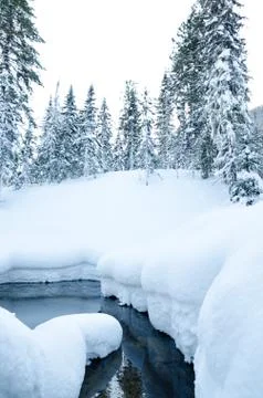 Winter forest river Stock Photos