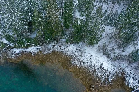 Winter forest in the river Stock Photos