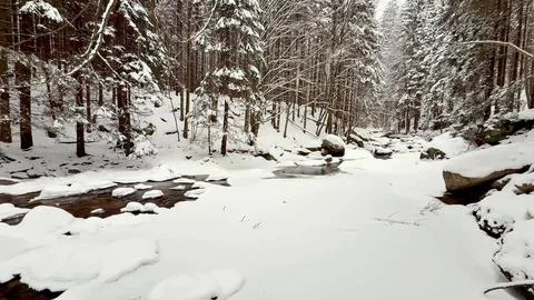 Winter forest river Stock Photos