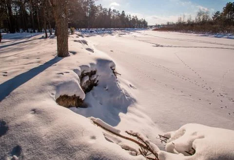 Winter forest river riverside sun Stock Photos