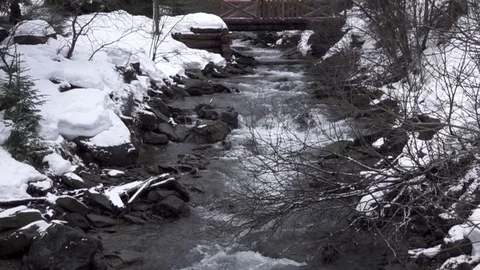 Winter forest river. slow motion. Stock Footage 84132265
