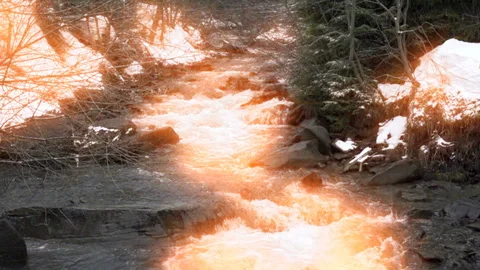 Winter forest river. slow motion. Stock Footage 132701543