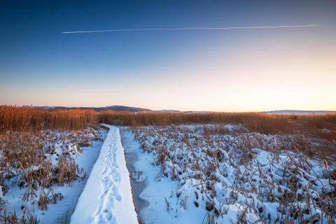 Winter forest on the river at sunset. Stock Photos