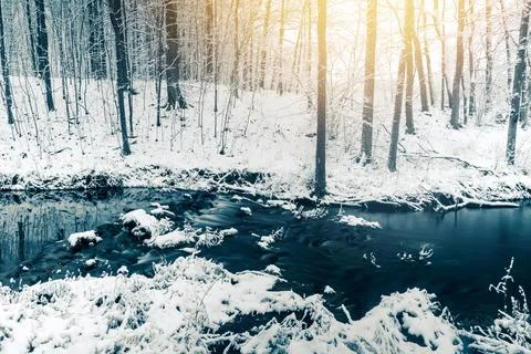 Winter forest river view Stock Photos