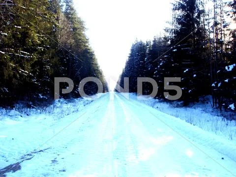 Winter Forest Road 2.JPG Stock Photos