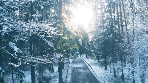 Winter forest road, covered with snow, smooth aerial motion Stock Footage 105348885