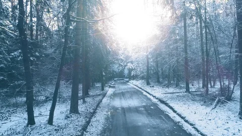 Winter forest road, covered with snow, smooth aerial motion Stock Footage 105348913
