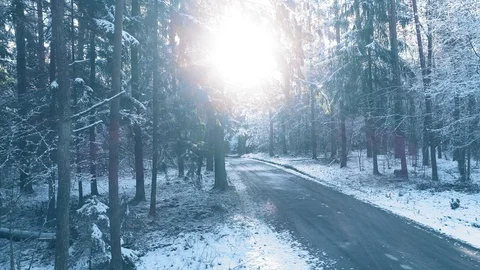 Winter forest road, covered with snow, smooth aerial motion Stock Footage 105348934