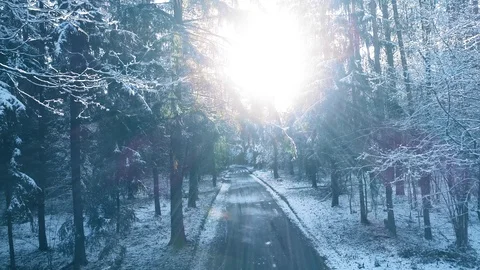 Winter forest road, covered with snow, smooth aerial motion 스톡 동영상 105348955