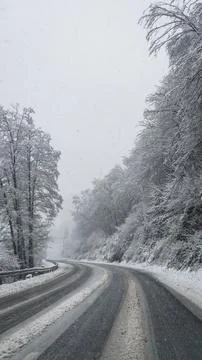 Winter forest road with falling snow and foggy background. Stock Photos