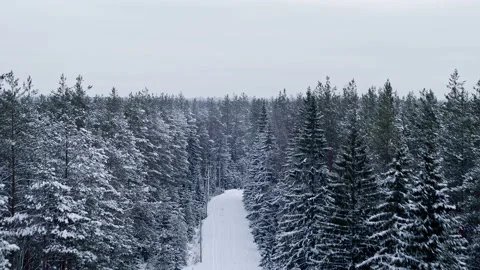 Winter forest road. Flying over the trees. 動画素材 146591740