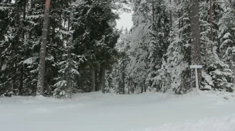 Winter forest road Stock Footage 20434602
