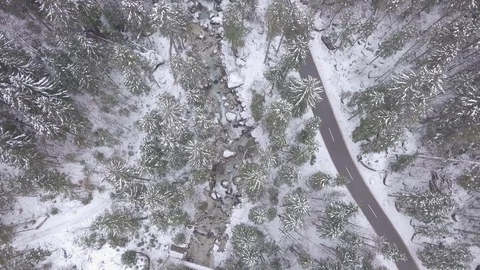 Winter Forest Road  Stockbeeldmateriaal 88708213