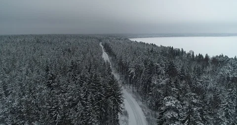 Winter forest road Stock Footage 101090581