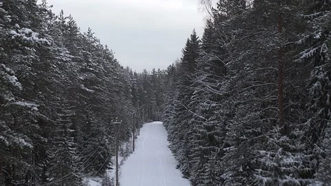 Winter forest road. 動画素材 145748233