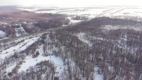 Winter forest road Stock Footage 147050637