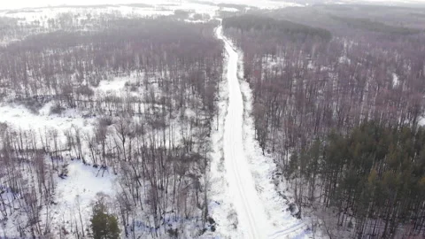 Winter forest road Stock Footage 147050975