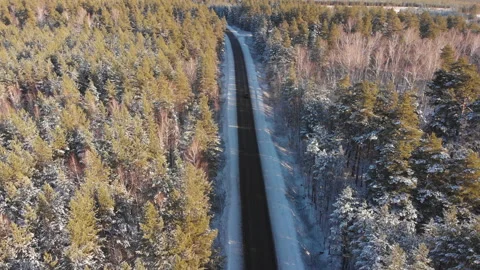 Winter forest road Stock-Footage 147885989