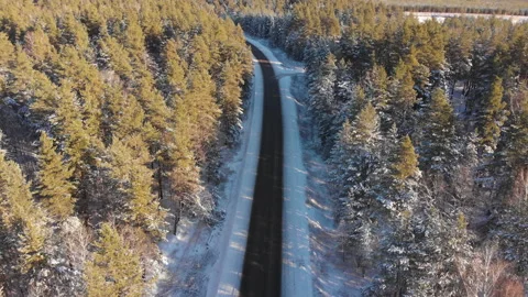 Winter forest road Stock-Footage 147888319