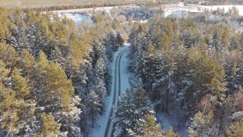 Winter forest road Stock-Footage 147932532