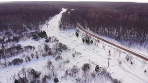 Winter forest road Stock-Footage 149010805