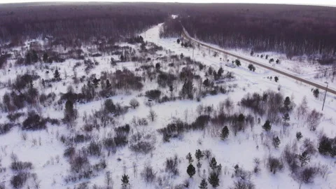 Winter forest road Stock-Footage 149012551