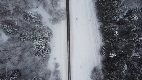 Winter Forest with road Stock Footage 169043607