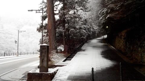 Winter forest road Stock Photos