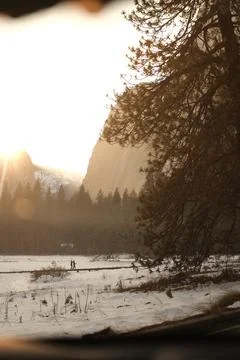 Winter forest road on sunset Stock Photos