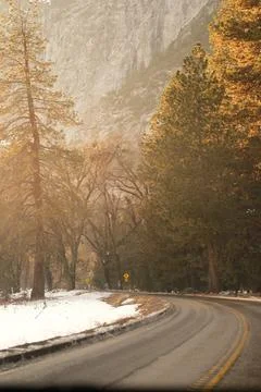 Winter forest road on sunset Stock Photos