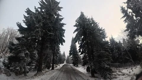 Winter forest road surrounded by snow covered trees in Czech Republic Stock Photos