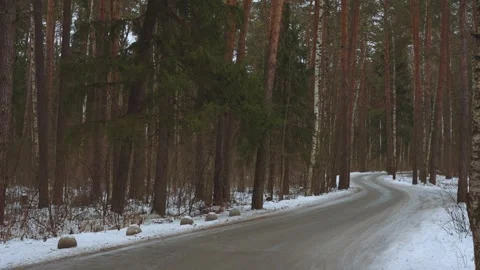 Winter forest, a road in a winter forest Stock Footage 324819774