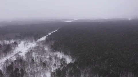 Winter forest in Russia Video stock 101662225