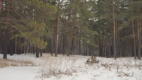 Winter forest scene. Calm winter scene with snowcovered trees and tracks Stock-Footage 332171169
