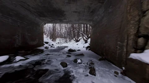 Winter forest scene with icy river Stock Footage 323339402