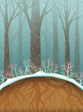 Winter Forest Scenery with Roots Below Ground Stock Illustration