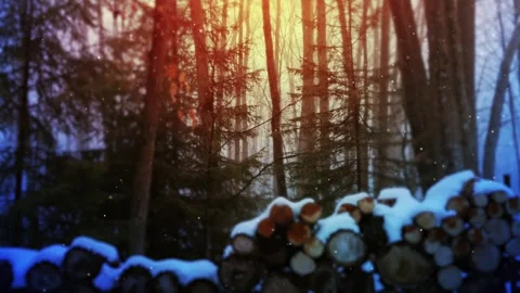 Winter forest scenery with snow falling over stacked logs and glowing sunlight 库存影片 347870420