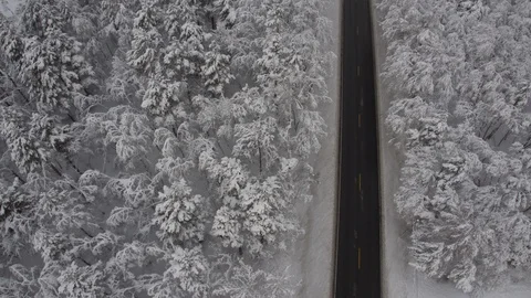 Winter Forest seen from drone Stock Footage 89047209