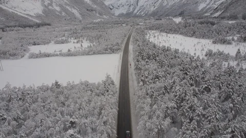 Winter Forest seen from drone 스톡 동영상 89050383