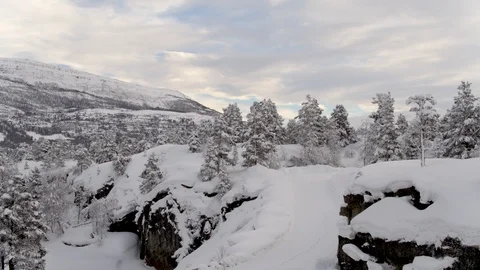 Winter Forest seen from drone 스톡 동영상 89050892
