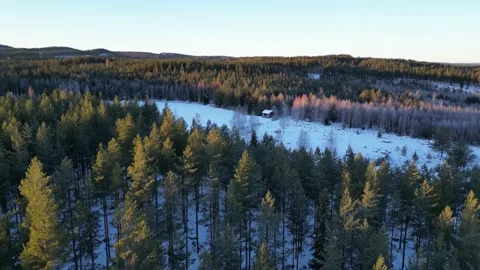 Winter Forest Shed Next To Field With Blue Skies And Snow Covered Field 스톡 동영상 232935792