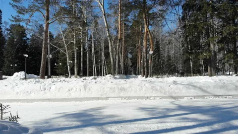 Winter forest, Siberian landscape, pine-trees, blue sky, snow Stock Footage 126529175