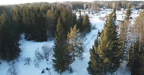 Winter forest, Siberian taiga Stock Footage