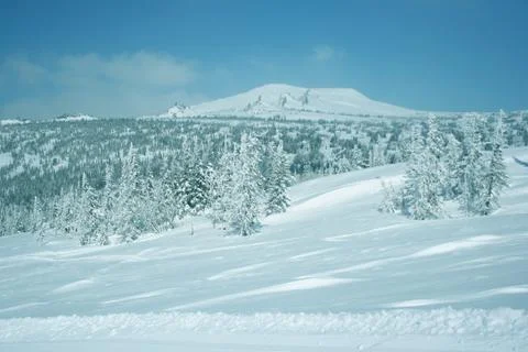 Winter forest. Ski resort. Foto stock