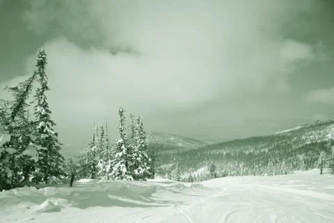 Winter forest. Ski resort. Stock Photos