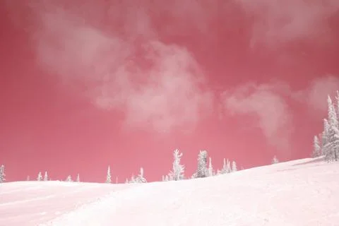 Winter forest. Ski resort. Stock Photos