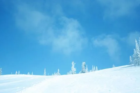 Winter forest. Ski resort. Stock Photos