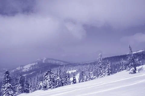 Winter forest. Ski resort. Stock Photos