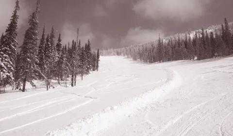 Winter forest. Ski resort. Stock Photos